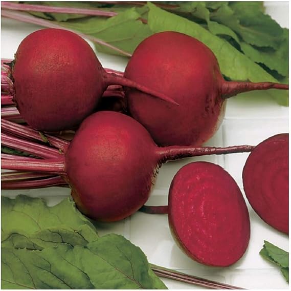 PREMIER SEEDS DIRECT - Beetroot Seeds - Detroit Dark RED - 400 Seeds - Organic
