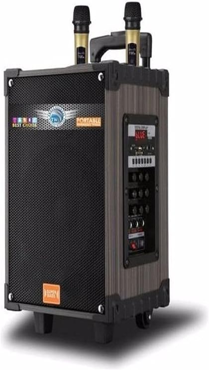 Lt-910 Şarjlı Kumandalı Çift Mikrofonlu Hoparlör Karaoke Sistemi 80 Watt Taşınabilir Amfi Hoparlör