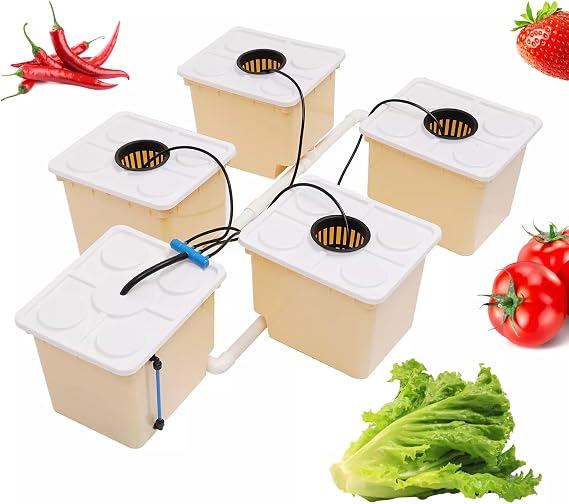 5-Bucket DWC Hydroponic System Kit, Weed Growing Kit Indoor Dutch Buckets w Lid Hose Clay Pebbles, Hydroponic Bucket Growing System for Cultivating Tomatoes Peppers Sorrel Chard Kales