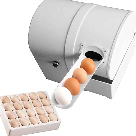 Automatic Egg Washer Machine,Electric Egg Washing Machine,Egg Washer Machine,2300 PCS/H