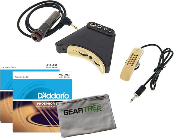 LR Baggs Anthem (w/Element Pickup) Internal Tru Mic System Bundle w/Strings