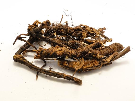 Bulk Herbs: OSHA Root (Wild Crafted)