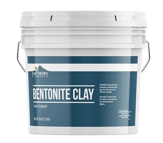 Earthborn Elements, Bentonite Powder, 6 Lb