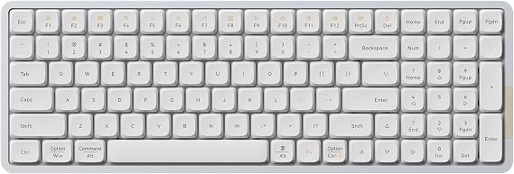 LOFREE Flow Low Profile Mechanical Keyboard, 100 Keys Rechargeable Wireless Keyboards with Bluetooth and Wired Connection for Windows, Mac OS/White Ghost Linear Switches