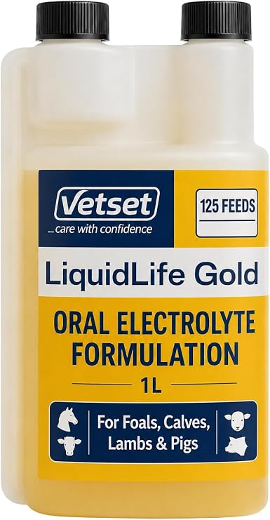 LiquidLife Gold Calf & Lamb Electrolytes Oral Rehydration 1L | For foals and pigs; supports fluids, salts and energy after dehydration, scours or stress