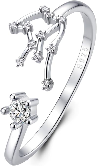 BriLove 925 Sterling Silver CZ Statement Ring Horoscope Zodiac 12 Constellation Astrology Adjustable Rings for Mom Women Mothers Day/Valentines Day/Birthday/Christmas/Anniversary