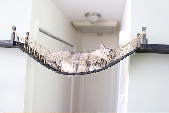 CatastrophiCreations Cat Bridge 50" Wall-Mounted Play and Lounge Toy Cat Tree Tower Alternative for Pets