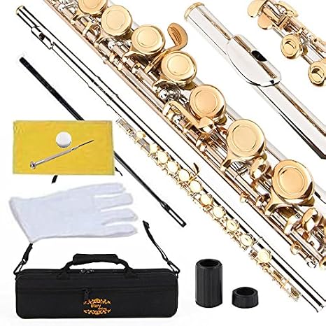 Glory Closed Hole C Flute With Case, Tuning Rod and Cloth and Gloves, Nickel/Laquer