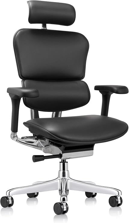 Ergohuman Eurotech LE9ERG Executive High Back Leather Swivel Chair - Office Chair with Tilt Tension Control, Tilt Lock, Back Angle & Height, Synchro Tilt, Seat Height & Depth, Arm Height Adjustments