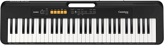 Casio CT-S100 61 KEY ORG