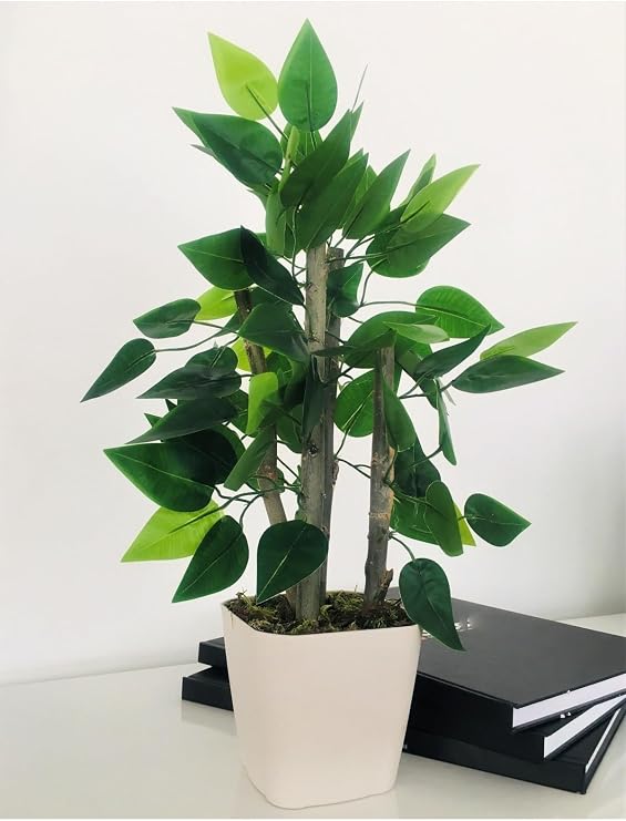 Yapay Bitki Ağacı, 30 cm, Saksıda, Dekoratif Bonsai, Krem