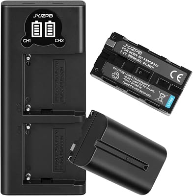 JYJZPB 2 Pack NP-F550 Batteries and Dual Charger Compatible for Sony NP F970 F750 F770 F960 F550 F530 F570 CCD-SC55 TR516 TR716 TR818 TR910 TR917 Video Light and More, 2900mAh