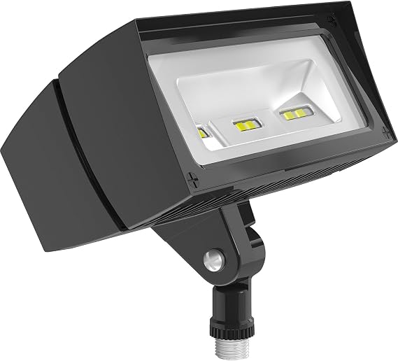 RAB Lighting Future Flood 18W 5000K LED