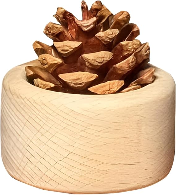 Wooden Essential Oil Diffuser
