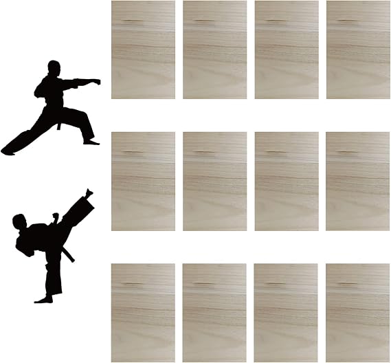 12pcs Taekwondo Karate Breaking Boards,Karate Martial Arts Boards,Professional Wood Boards for Taekwondo Breaking,Boxing Equipment Breaking Board Practice Performing for Kids&Adult