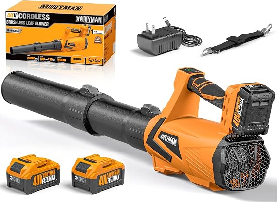 Alloyman Leaf Blower Cordless 40V, 650CFM Electric Leaf Blower with 22.0Ah Batteries and Charger, 3 Speed + Turbo Mode Battery Powered Blower for Lawn Care, Leaves, Dust, Snow, Brushless Motor