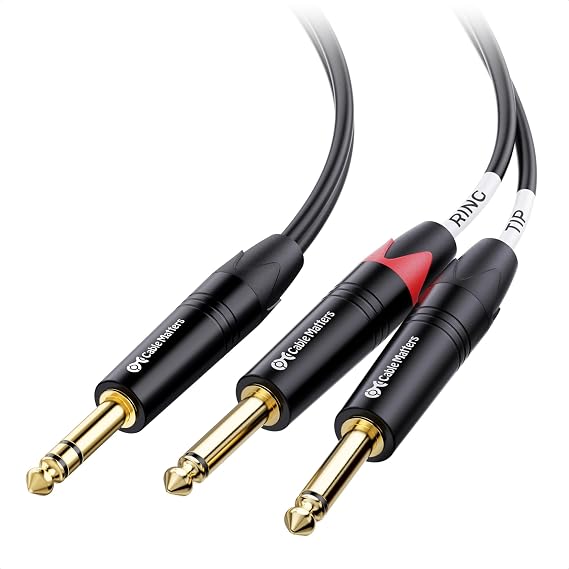Cable Matters 6.35mm TRS to Dual TS Insert Cable, 10ft