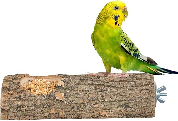 Natural Tree Bird Perch And Feeder Log Perch Forage Perch Length 15 cm
