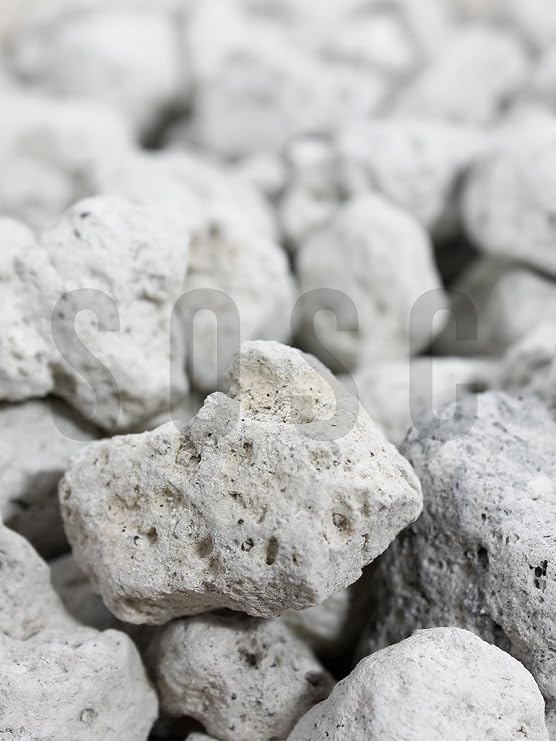 SOSC Natural Volkanik Beyaz Dekoratif Pomza Taşı, 2-4 cm, 10 Litre, Drenaj ve Toprak Nemlendirici Özellikli, Saksı Süsleme