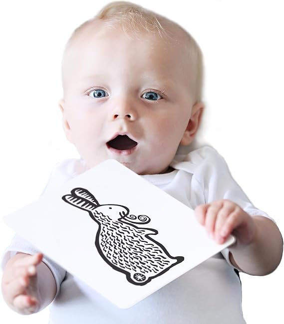 Wee Gallery, Art Cards for Baby, Black and White Baby Cards, 012 Months - Pets Collection