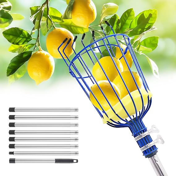 RAIN SPIRIT Fruit Picker Pole with Basket Telescoping tool (10.8 ft)