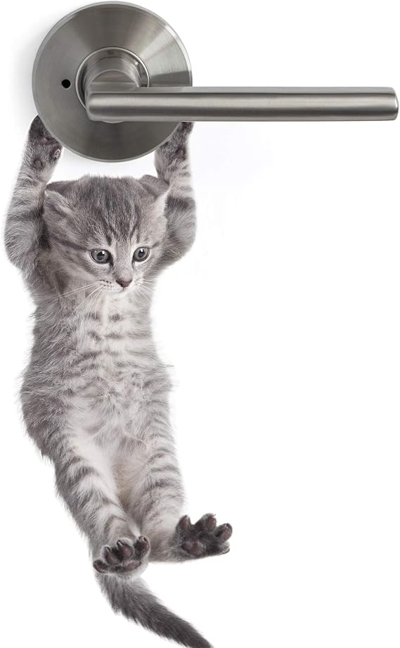 Cute Hanging Baby Kitten cat Door Decal Sticker #6067A