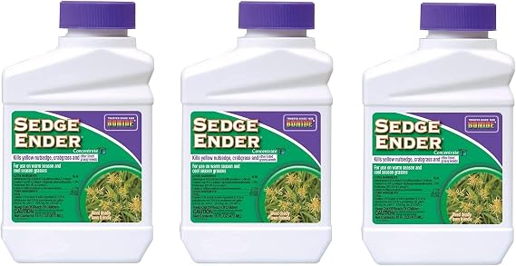 Sedge Ender Concentrate3