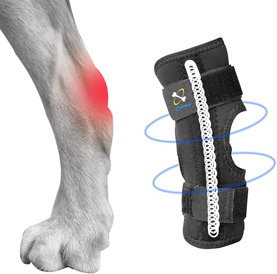 Coodeo Powerful Dog Canine Rear Leg Hock Joint Brace with Metal Spring Strips, Strengthen Support Dog Back Leg Compression Wrap, Help Dogs with Injuries, Sprains, Arthritis, Rheumatism Walk (M, Black)