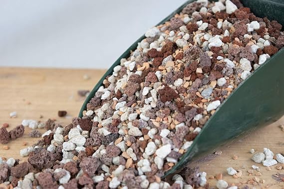 10 Cups Pre Mixed Pumice, Red Lava, Turface for Cactus & Succulent, Bonsai Tree Soil Mix - Medium Grain Inorganic Additive (2.5Q INORG M)