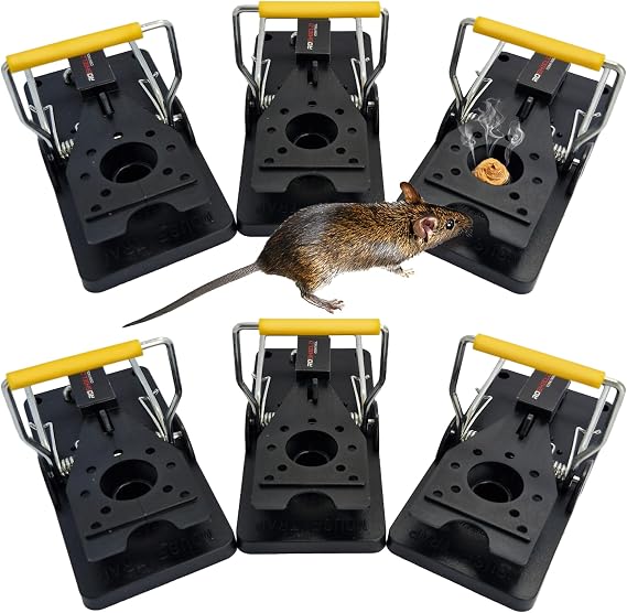 ROSHIELD 6 x Mouse Trap, 6 Pack Heavy Duty Reusable Snap Traps that Kill Instantly, High Sensitive Mice Catcher UK, Safe and Effective Rodent Trap for Indoors and Outdoors, Easy Set-up & Clean