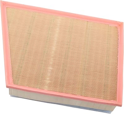 ACDelco GM Original Equipment A3141C 25945274 Air Filter