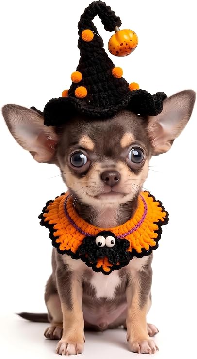 Halloween Pet Costume,Spider & Black Witch Hat for Cats and Small Sized Dogs,Hand-Knit Festive Halloween-Themed Cat Apparel,Dog Halloween Outfits,Cat Witch Costume