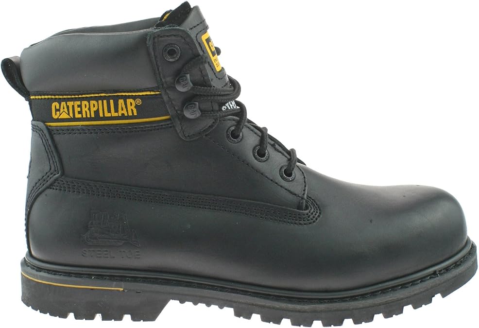 CAT Footwear Men's Holton SB Safety Boots