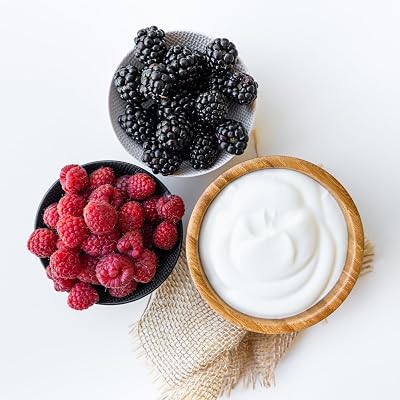 Positively Probiotic Traditional | Heirloom Thermophilic Yogurt Starter Culture | 4 Pack