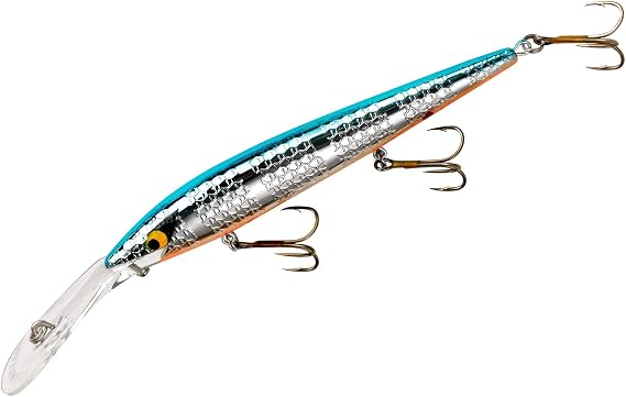 Smithwick Deep Suspending Rogue Fishing Lure
