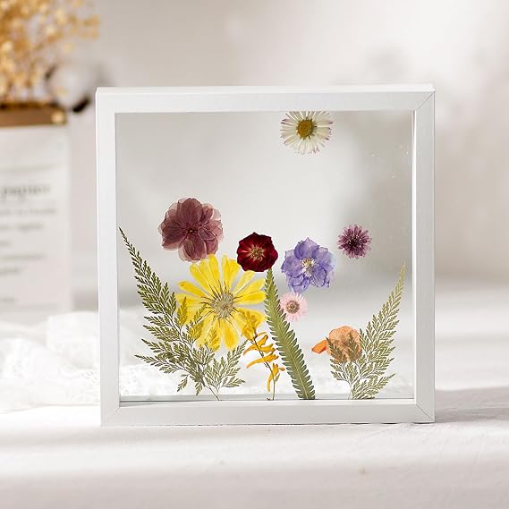 Collage Picture Frames, A4 Floating Photo Frame Double Sided Poster & Flower Press Multicolor Multiple Sizes(Black,Square 8 Inches [19.9 * 19.9cm])
