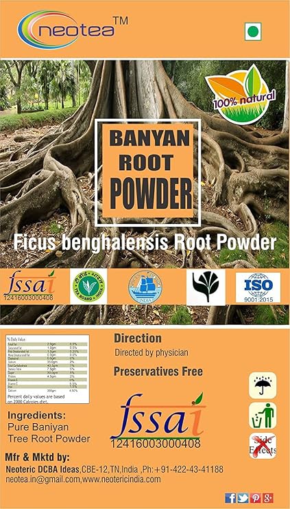 Astha Neotea Banyan Root Powder, 300g