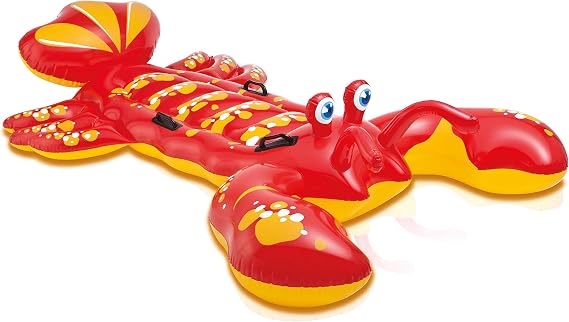 INTEX Inflatable Pool Float: Pool Toy for Kids