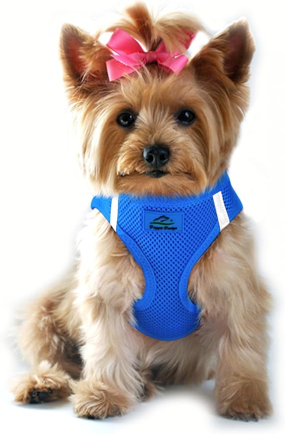 Doggie Design Dog Harness - No Choke Dog Harness, Dog Vest, Mesh Polyester, Pet Harness, Simple Step in and Go Design, Harness for Dog - Cobalt Blue, XXS