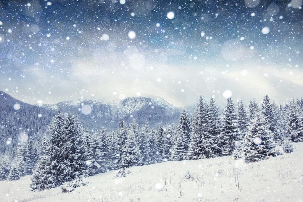 Snowy Winter Night Mountain Forest Starry Sky Pine Trees Photo Cool Wall Art Print Poster 36x24