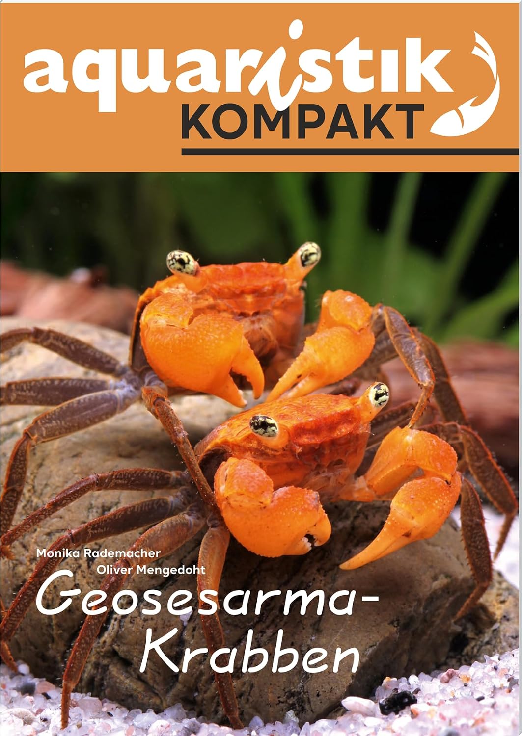Geosesarma-Krabben - aquaristic COMPACT Brochure – June 1, 2024