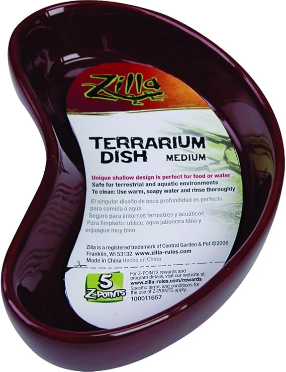 Rzilla Terrarium Dish Medium