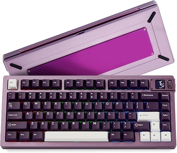 Akko MOD007 V5 HE Wired Rapid Trigger Gaming Keyboard Quick Release Aluminum Wired Keyboard with Personalized Screen FR4 Plate Purple AstroAim Switch