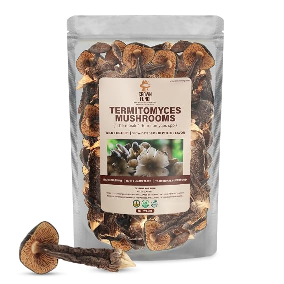 Crown Fungi Termitomyces Mushrooms, 3oz