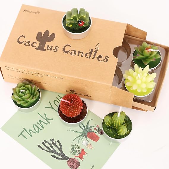AIXIANG 6 Styles Succulent Candles Gift Set for Home Decor Housewarming,Baby Shower Party Favors, Wedding, Holiday Gifts