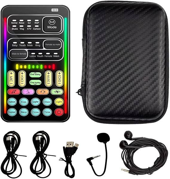Flylin Portable Handheld Microphone Voice Changer 16 Effects for Gaming