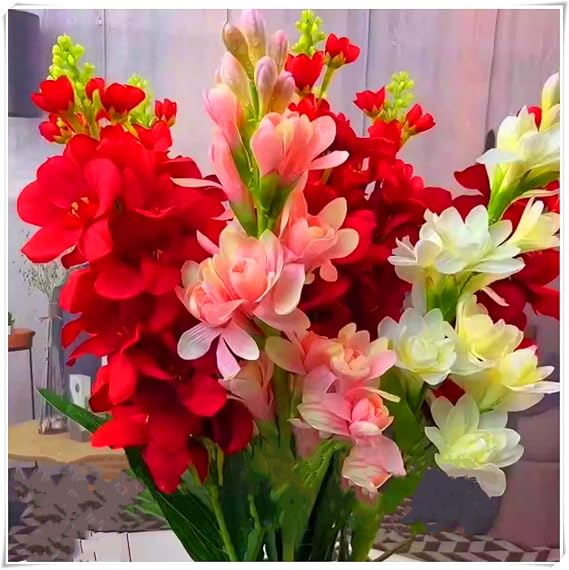 Premium Tuberose Bulbs – Stunning Large Blooms, Simple to Grow – Perfect for Indoor Decor, Gifts & Holiday Displays-4 Bulbs-A