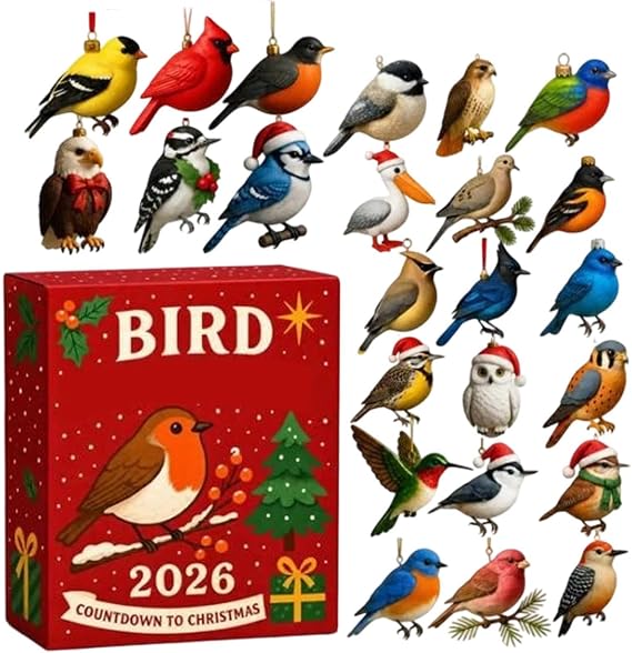 Christmas Bird Countdown Calendar - 2 D Flat Realistic Scene Prop,