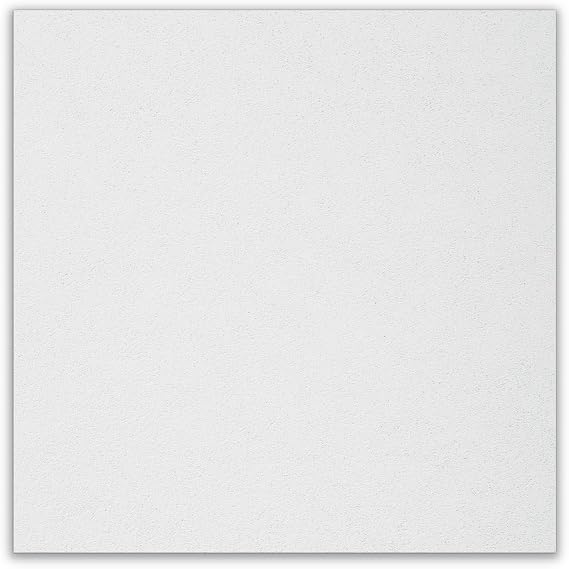 Armstrong Ceiling Tiles; 2x2 Ceiling Tiles - 12 pcs White; Acoustic Ceilings for Suspended Grid; Ultima Lay-in & TEGULAR 1912