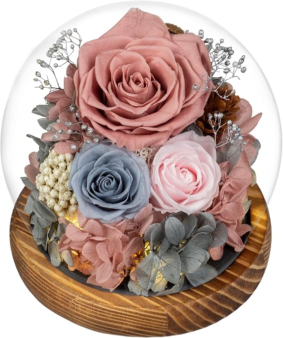 Large Preserved Flowers with Card-Flowers for Delivery Prime,Eternal Rose with Lights,Roses in Glass Dome,Romantic Gift for Her,Decoration, Fresh Rose Flowers for Mom, Birthday, Anniversary(Pink Blue)